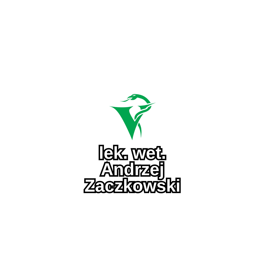 Logo (2)